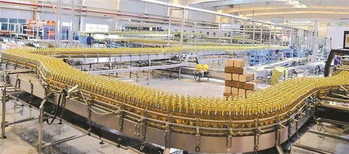 不吃老本 再立新功 南疆師市以技術服務打造投資高地